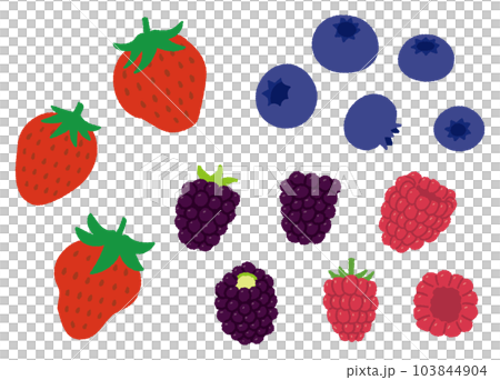 草莓、覆盆子、藍莓和黑莓等漿果的手繪矢量圖 103844904