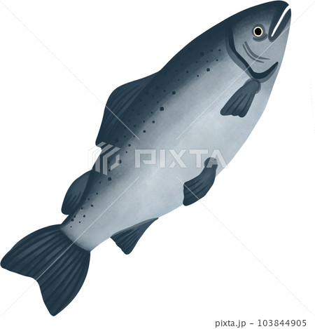 cute salmon cartoon for sea food 103844905