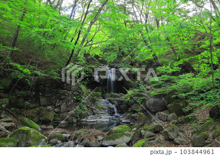 栃木県県民の森　宮川渓谷の創造の滝／栃木県矢板市 103844961