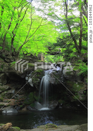 栃木県県民の森 宮川渓谷の創造の滝/栃木県矢板市 栃木県県民の森 宮川渓谷の創造の滝/栃木県矢板市 103844962