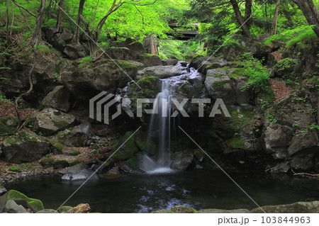 栃木県県民の森 宮川渓谷の創造の滝/栃木県矢板市 栃木県県民の森 宮川渓谷の創造の滝/栃木県矢板市 103844963