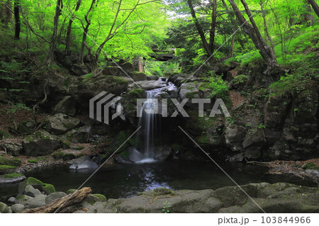 栃木県県民の森 宮川渓谷の創造の滝/栃木県矢板市 栃木県県民の森 宮川渓谷の創造の滝/栃木県矢板市 103844966