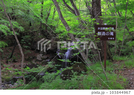 栃木県県民の森 宮川渓谷の創造の滝/栃木県矢板市 栃木県県民の森 宮川渓谷の創造の滝/栃木県矢板市 103844967