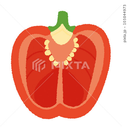 赤パプリカの輪切り手書きベクターイラスト 赤パプリカの輪切り手書きベクターイラスト 103844973