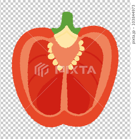 赤パプリカの輪切り手書きベクターイラスト 赤パプリカの輪切り手書きベクターイラスト 103844973