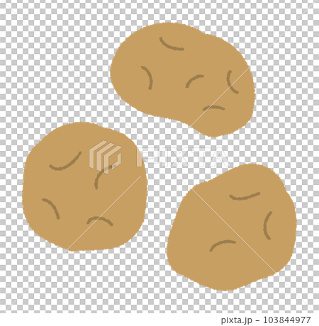 Hand drawn vector illustration of potato Hand drawn vector illustration of potato 103844977