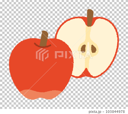 Hand drawn vector illustration of an apple Hand drawn vector illustration of an apple 103844978