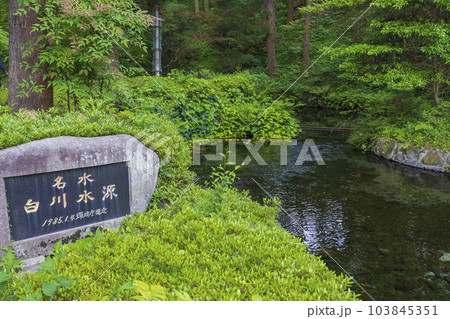 【熊本県】日本名水百選にも選ばれた阿蘇白川水源 【熊本県】日本名水百選にも選ばれた阿蘇白川水源 103845351