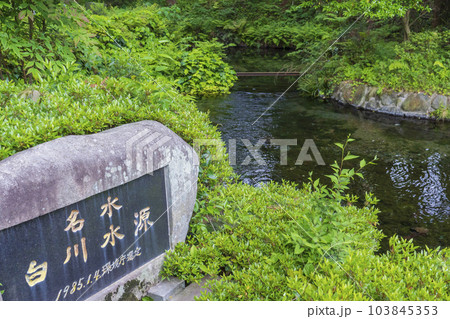 【熊本県】日本名水百選にも選ばれた阿蘇白川水源 【熊本県】日本名水百選にも選ばれた阿蘇白川水源 103845353