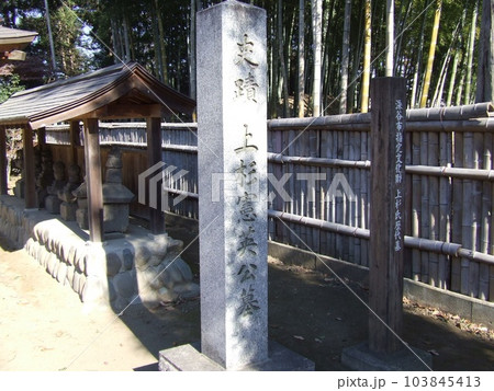 国済寺　　　（埼玉県深谷市） 103845413