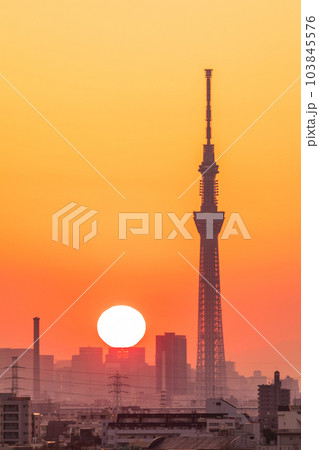 江戸川河川敷から東京スカイツリー方向を望む 夕景 江戸川河川敷から東京スカイツリー方向を望む 夕景 103845576