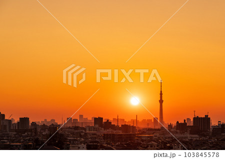 江戸川河川敷から東京スカイツリー方向を望む　夕景 103845578
