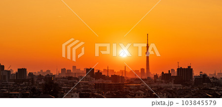 江戸川河川敷から東京スカイツリー方向を望む　夕景 103845579