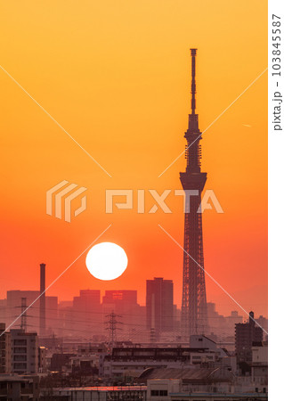 江戸川河川敷から東京スカイツリー方向を望む 夕景 江戸川河川敷から東京スカイツリー方向を望む 夕景 103845587