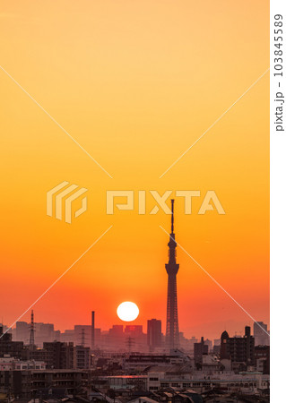 江戸川河川敷から東京スカイツリー方向を望む 夕景 江戸川河川敷から東京スカイツリー方向を望む 夕景 103845589