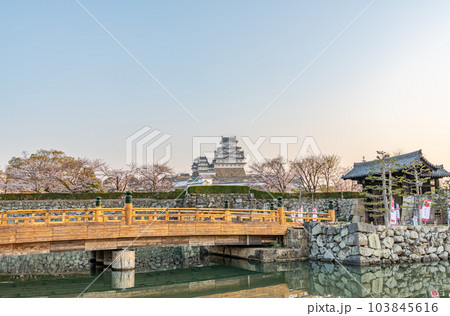 兵庫県姫路市 桜の花と桜門橋、その後ろにそびえる国宝姫路城天守 兵庫県姫路市 桜の花と桜門橋、その後ろにそびえる国宝姫路城天守 103845616