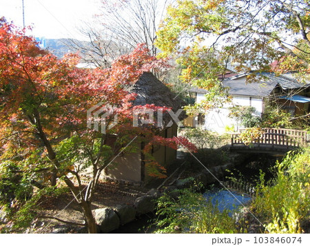 山吹の里　　　（埼玉県越生町） 103846074