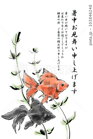 金魚の暑中見舞い 金魚の暑中見舞い 103846248