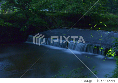 ホタル 水源の里 ホタル 水源の里 103846344