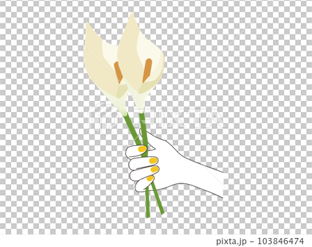 黄色いマニキュア(ネイル)をした上品な手で白いカラー持ち相手にメッセージを贈るイラスト 103846474