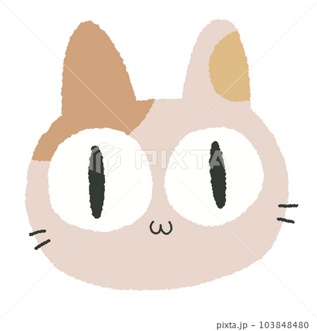 calico cat 103848480
