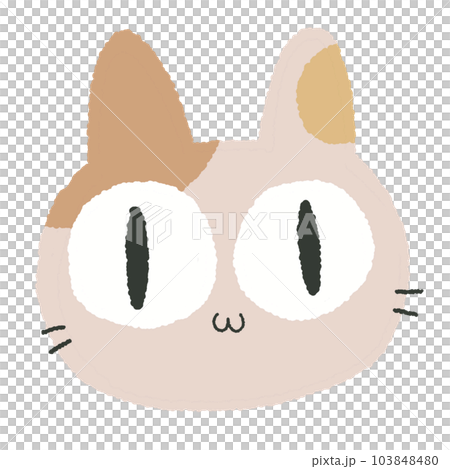 calico cat 103848480