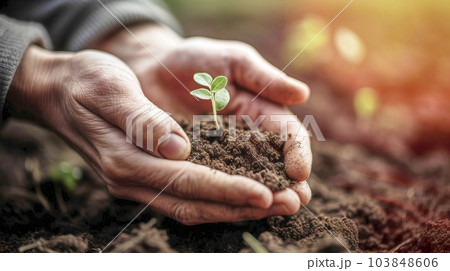 A man's hands hold a small pile of soil from which a green sprout with small leaves grows, made with generative ai A man's hands hold a small pile of soil from which a green sprout with small leaves grows, made with generative ai 103848606