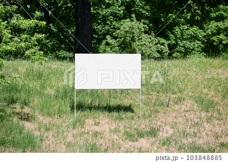 White board set on the ground with green grass against the background of trees and bushes outside on a summer day 103848885