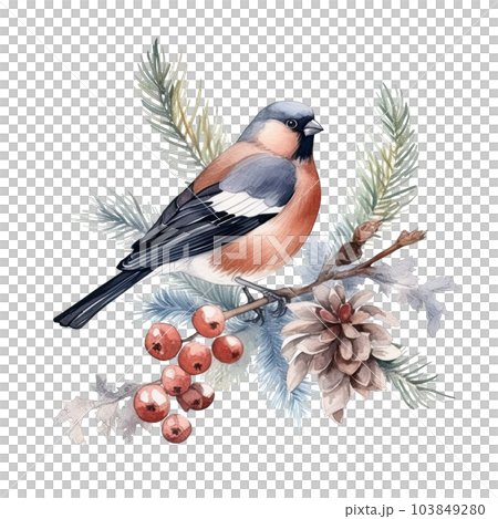 Watercolor Christmas forest branches and bullfinch. Illustration AI Generative Watercolor Christmas forest branches and bullfinch. Illustration AI Generative 103849280