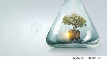Tree growing inside clear glass bottle Tree growing inside clear glass bottle 103850138