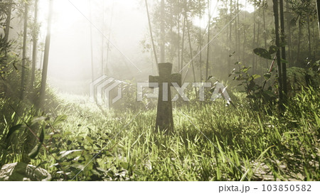 rugged grave marker in the tropical woods 103850582