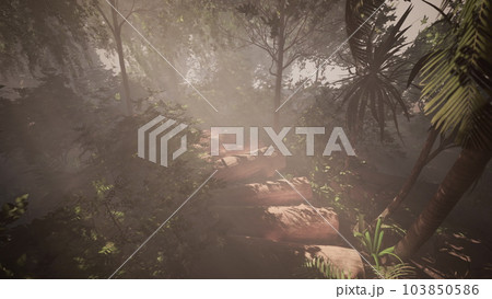 Walking along a foggy path amidst the tropical trees Walking along a foggy path amidst the tropical trees 103850586