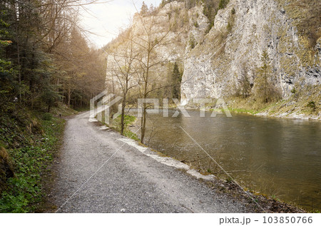 A path by the Dunajec River in Pieniny Mountains, Poland. A path by the Dunajec River in Pieniny Mountains, Poland. 103850766