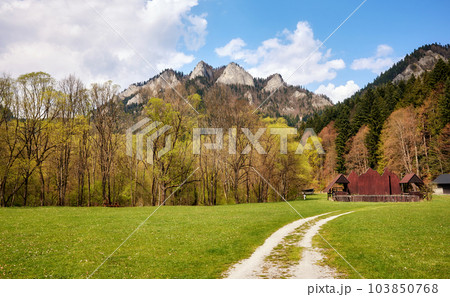 Dirt road leading to Trzy Korony (Three Crowns) peak in Pieniny National Park, Red Monastery, Slovakia. 103850768