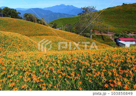 景色 風景 自然 103850849