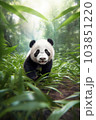 森を歩くジャイアントパンダの赤ちゃん 103851220