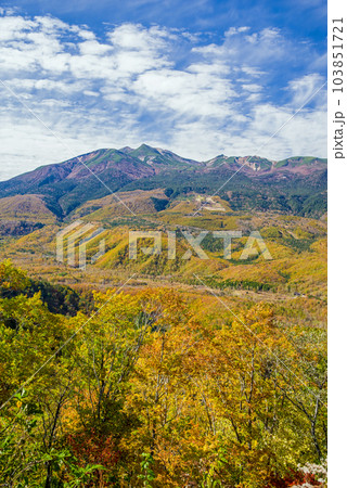 高原の秋【乗鞍高原の紅葉】 103851721