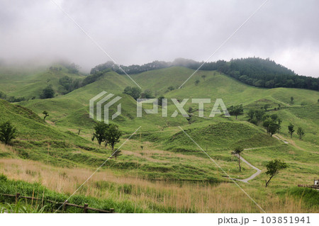砥峰高原 兵庫県 雪彦峰山県立自然公園 砥峰高原 兵庫県 雪彦峰山県立自然公園 103851941