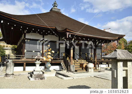 仁和寺 御影堂【重要文化財】 仁和寺 御影堂【重要文化財】 103852623