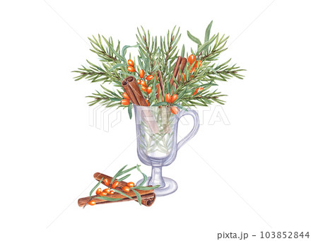 Bouquet of Spruce twigs, Sea Buckthorn branch, Cinnamons sticks in transparent glass on white background. Christmas and New year theme. Watercolor composition for Xmas, New Year cards, greetings 103852844