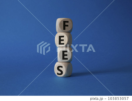 Fees symbol. Concept word Fees on wooden cubes. Beautiful blue background. Business and Fees concept. Copy space. 103853057