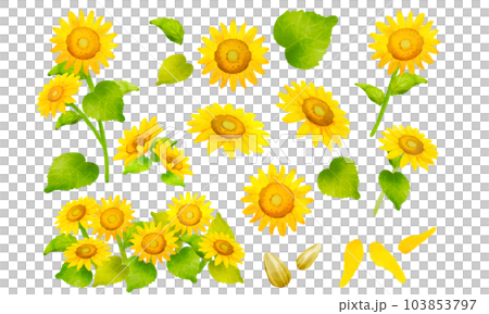 Cute sunflower watercolor style parts set 103853797