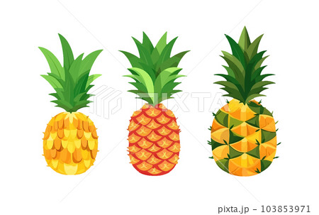 set vector illustration of ripe pineapple isolated on white background 103853971