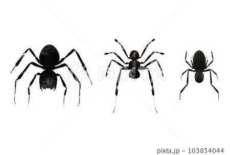set vector illustration of magic black evil spider halloween concept isolated on white background 103854044