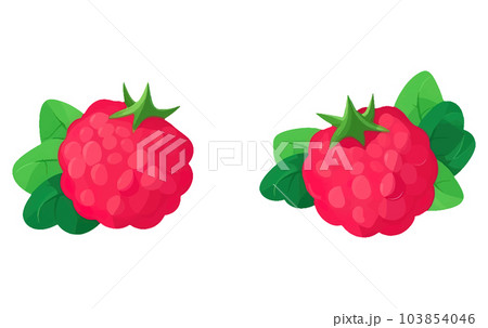 set vector illustration of ripe red berry isolated on white background 103854046
