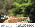 A podium made of sawn wood with a natural background on the stones. Front showcase with a stand for the presentation of goods. With a beautiful view of juicy greenery with bokeh. 103854900