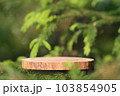 The podium is made of sawn wood with a natural background on the branches of a beautiful spruce. Front showcase with a stand for the presentation of goods. With a view of juicy greenery with bokeh. 103854905