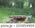 A podium made of sawn wood with a natural background on the stones. Front showcase with a stand for the presentation of goods. With a beautiful view of juicy greenery with bokeh. 103854909