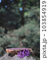 A podium made of sawn wood with a natural background on the stones. Front showcase with a stand for the presentation of goods. With a beautiful view of juicy greenery with bokeh. 103854919