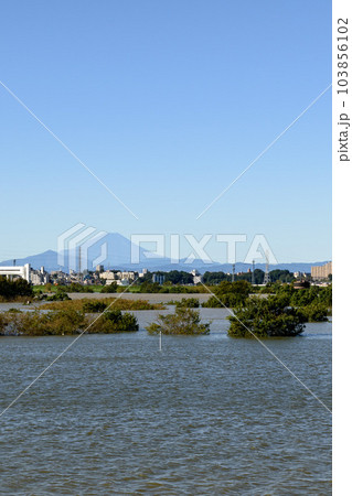 令和元年東日本台風・治水効果で水没した彩湖道満グリーンパーク（荒川） 103856102